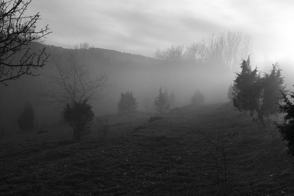 Herbstspaziergang