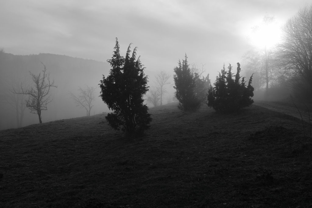 Herbstspaziergang