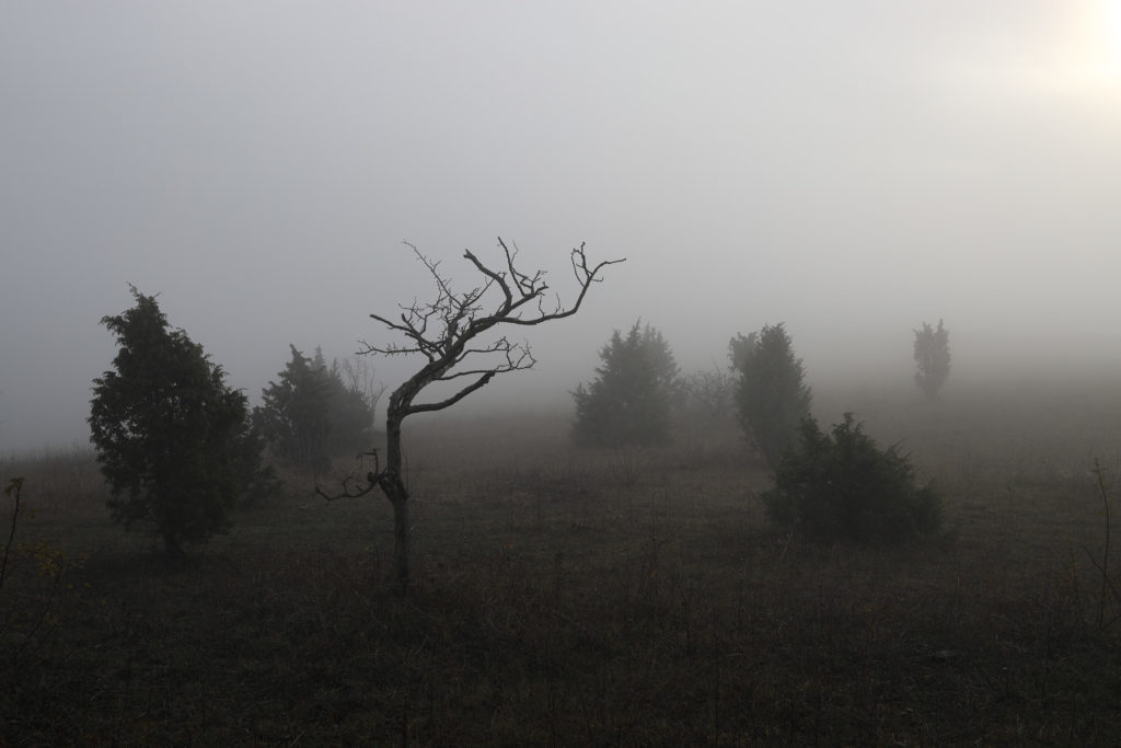 Herbstspaziergang